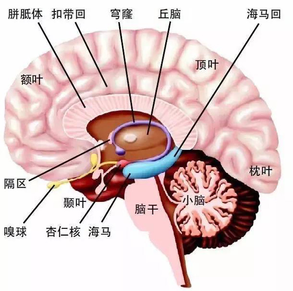 孩子“情绪失控”时,家长该怎么应对?这位爸爸的做法堪称育儿典范! 孩子“情绪失控”时,家长该怎么应对?这位爸爸的做法堪称育儿典范!