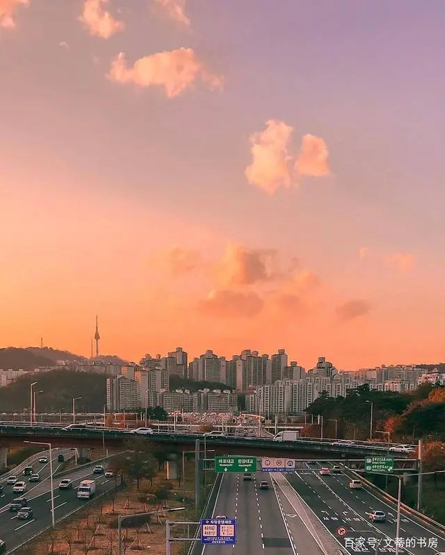 集中注意力的好方法_注意集中力的方法_集中注意力的作用