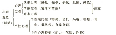 中小学认知发展——注意