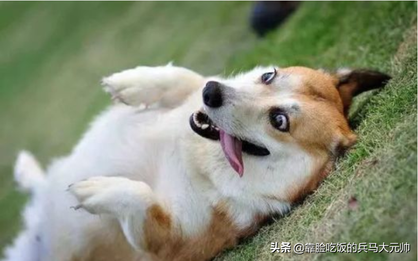 集中注意力的作用_注意力不集中_注意集中力的词语