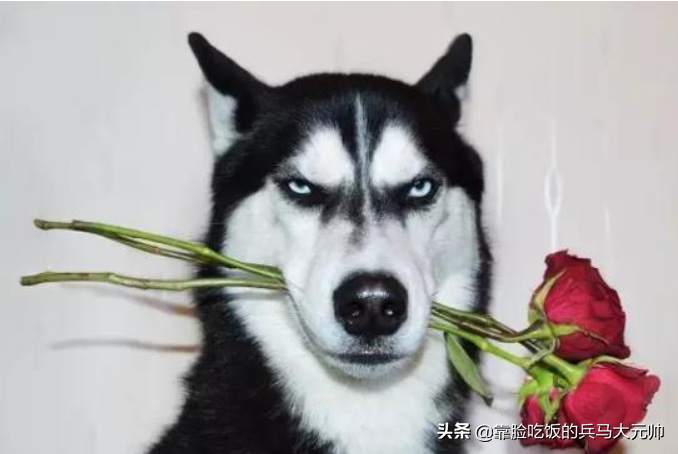 注意力不集中_注意集中力的词语_集中注意力的作用