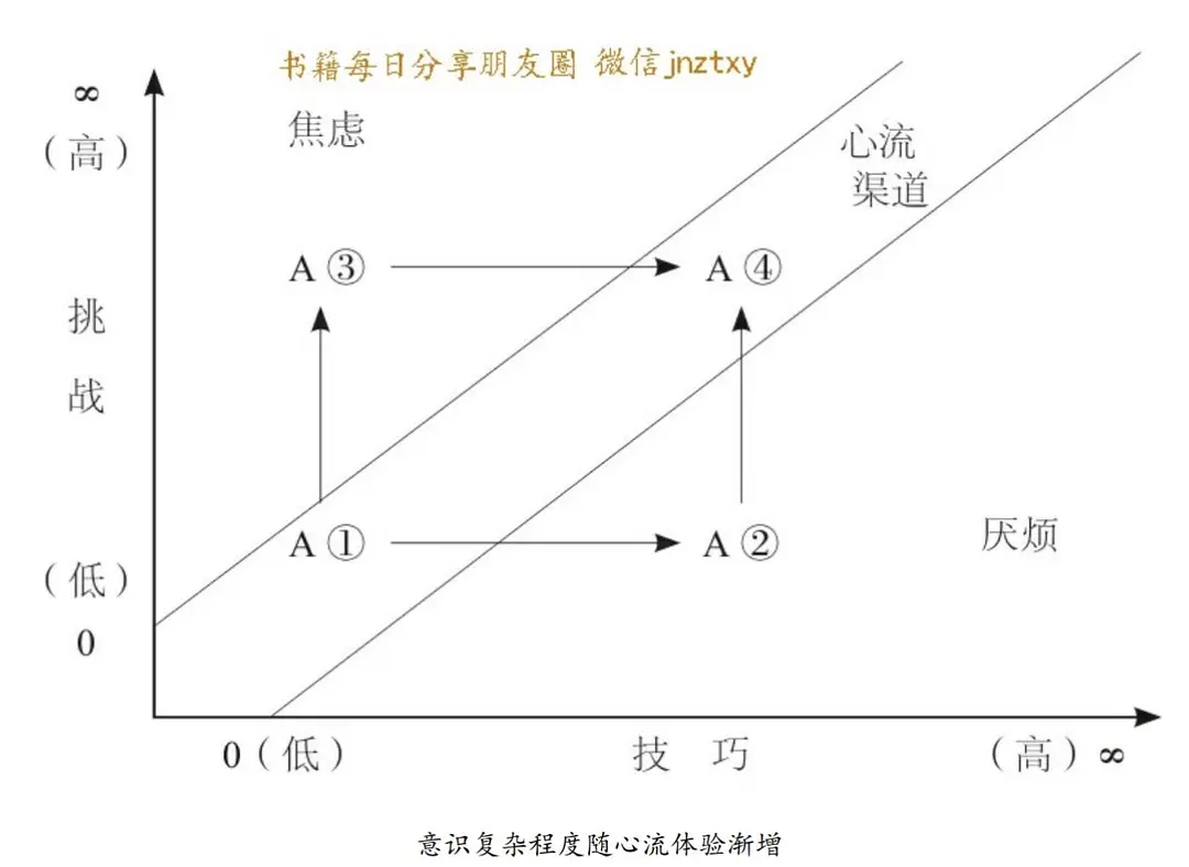 集中力的轻音乐_提高集中力的音乐_集中注意力的音乐