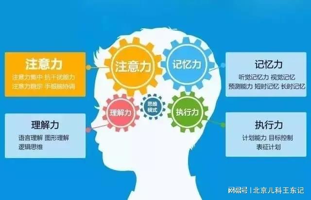 注意力不集中_注意力和集中力_注意集中力的词语