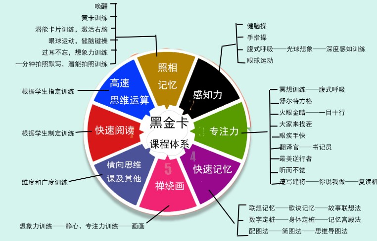 脑博士全脑开发课程