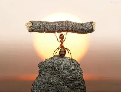 注意集中力的方法_集中注意力的作用_如何集中注意力