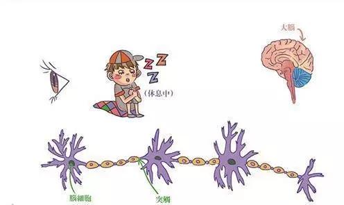 儿童多动症什么原因引起的_儿童动症需要怎么治疗_小儿动症